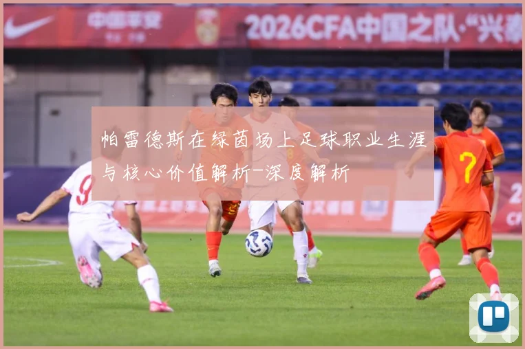 帕雷德斯在绿茵场上足球职业生涯与核心价值解析-深度解析