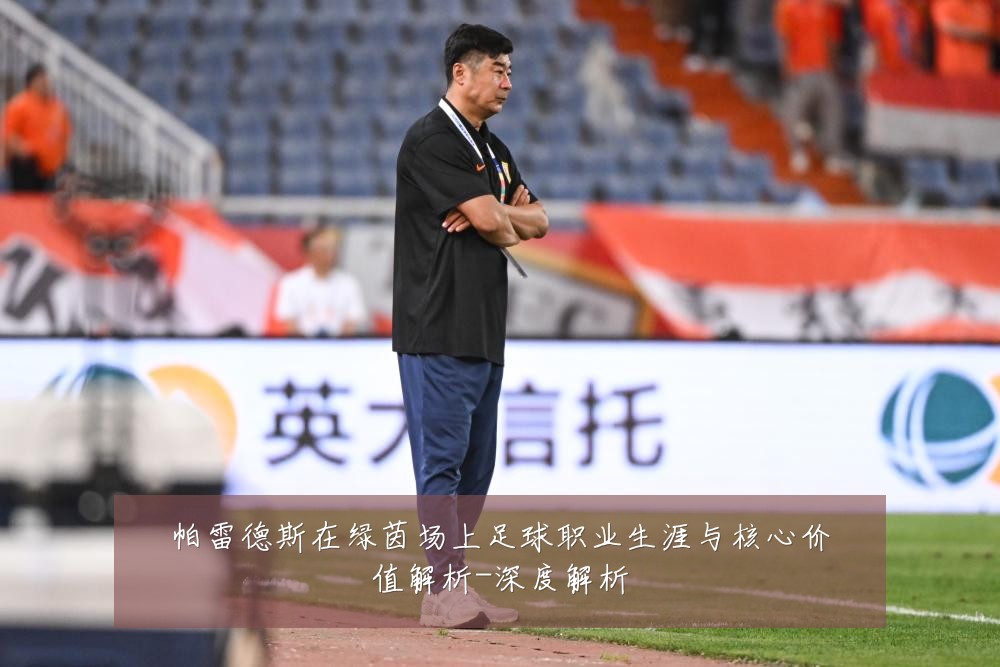 帕雷德斯在绿茵场上足球职业生涯与核心价值解析-深度解析