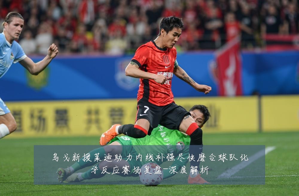 乌戈新援莱迪助力内线补强尽快磨合球队化学反应赛场复盘-深度解析